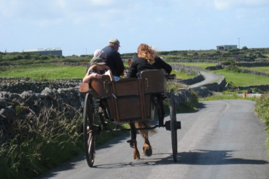 The Burren Way 7-Daagse wandeltrektochten (individueel)