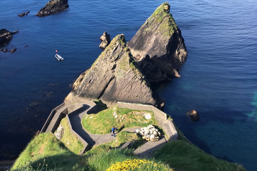 Dingle Way 8-Daagse wandeltrektochten (individueel)