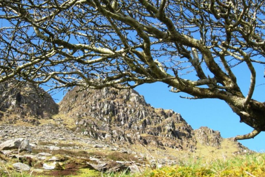 Dingle Way 8-Daagse wandeltrektochten (individueel)