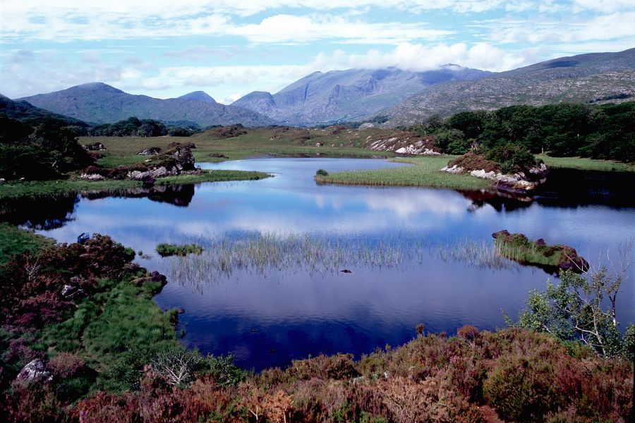 Kerry Way 8-Daagse wandeltrektochten (individueel)