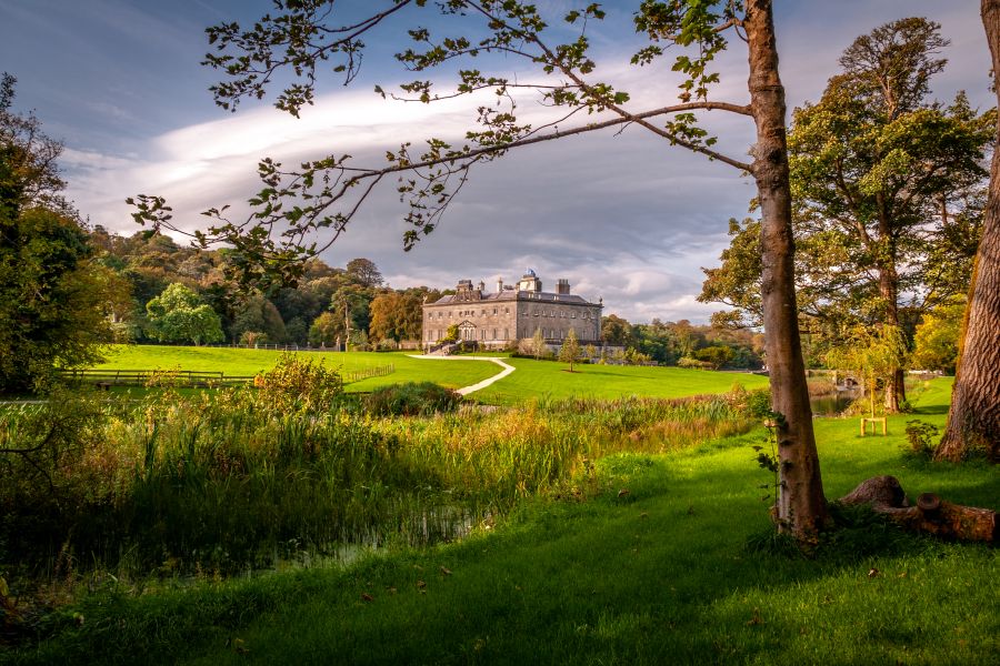 The Westport Estate Glamping Village