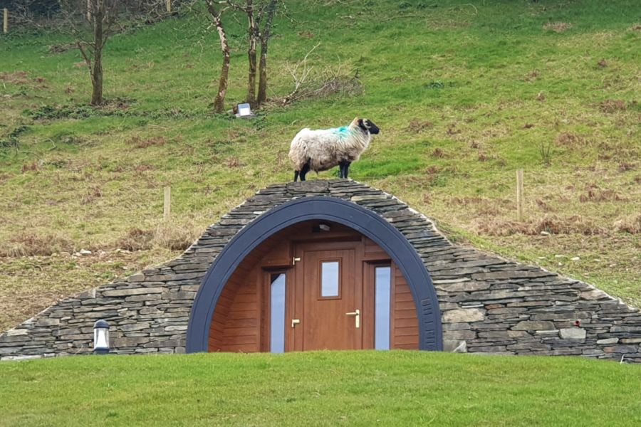 Goats Path Pods - Sheep`s Head Peninsula