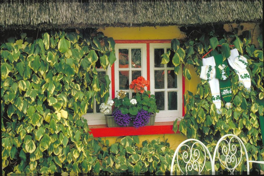Adare cottages autorondreis Ierland vakantiewoningen