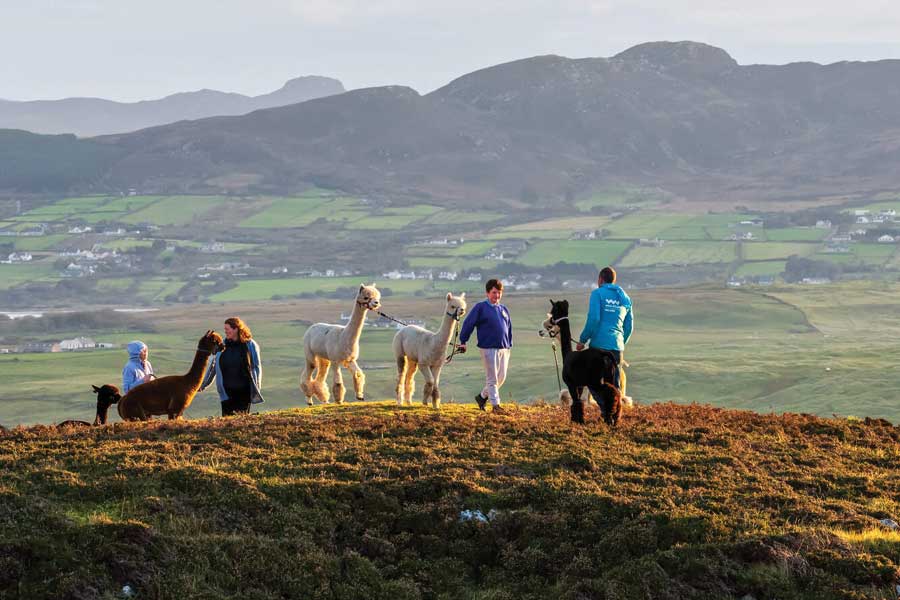 Autorondreis Glamping Ierland - luxe kamperen
