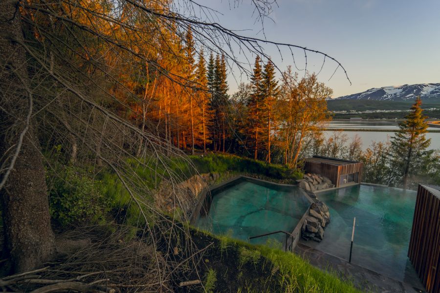 Forest Lagoon, busrondreis IJsland