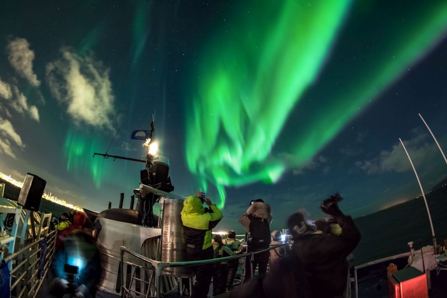 Northern Lights Cruise, busrondreis Noorderlicht IJsland