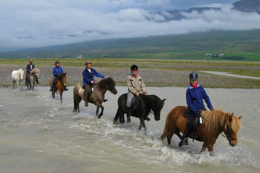 Paardrijden Varmahlid