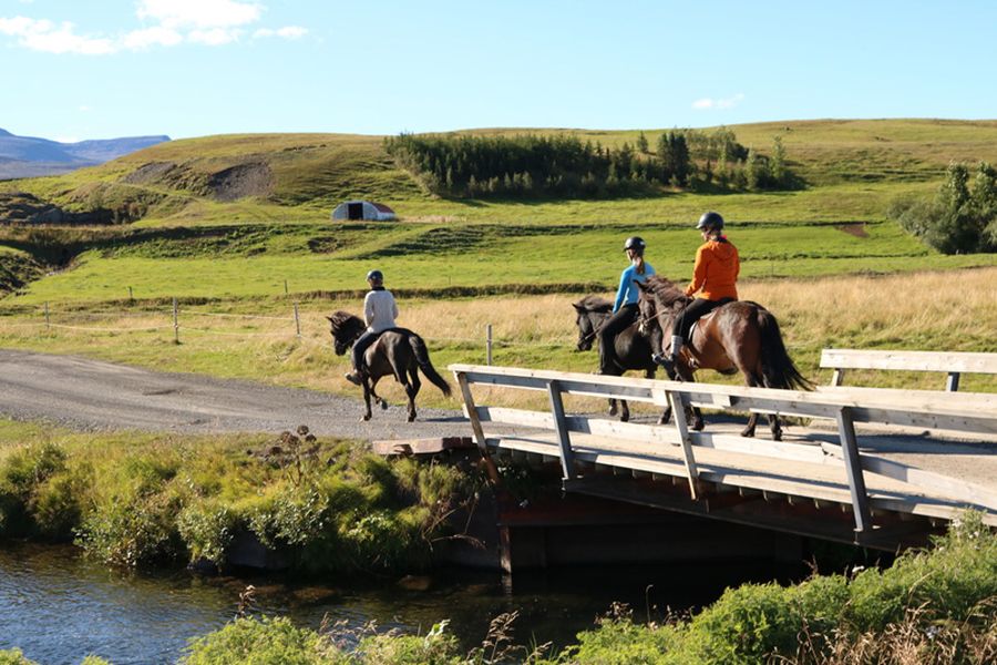 Paardrijden Varmahlid
