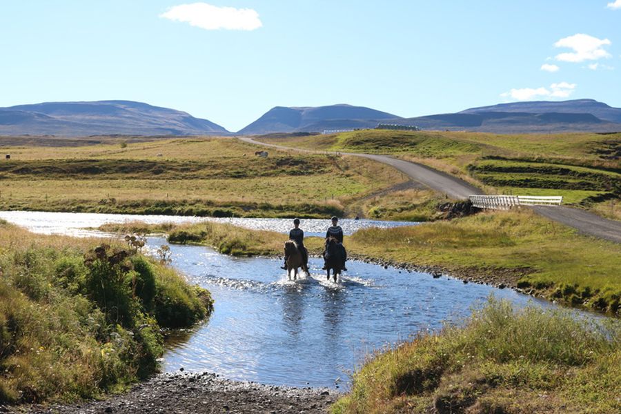 Paardrijden Varmahlid