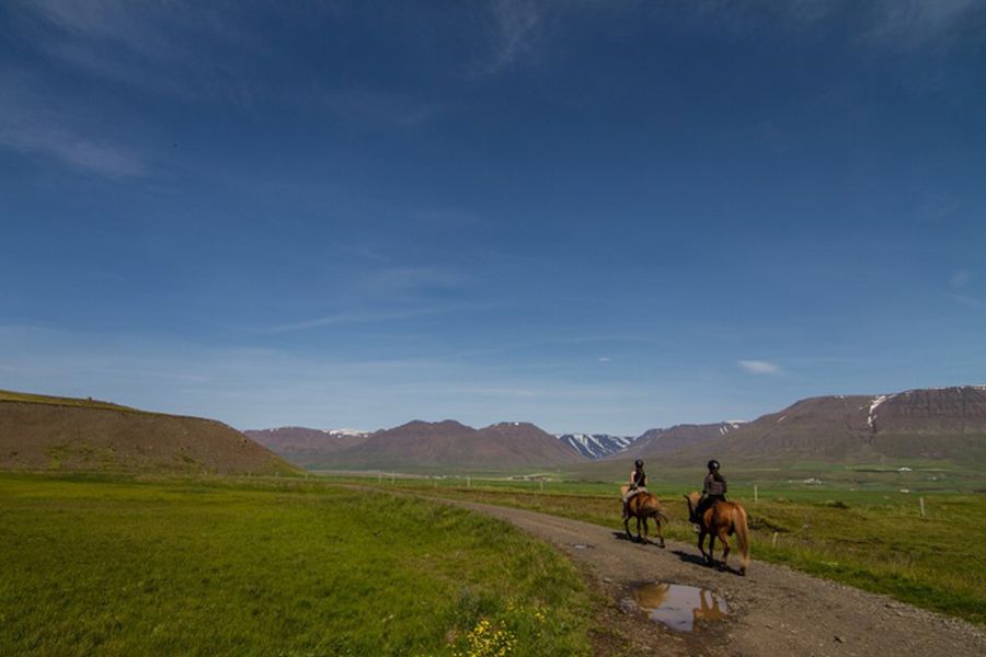 Paardrijden Varmahlid