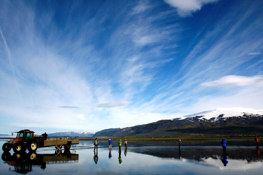 Vakantie Ingolfshofdi vogelkaap excursie in Diversen (IJsland, IJsland)