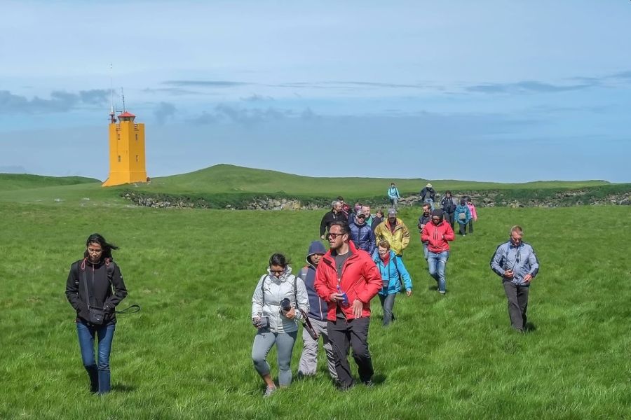 Ingolfshofdi Vogelkaap Excursie