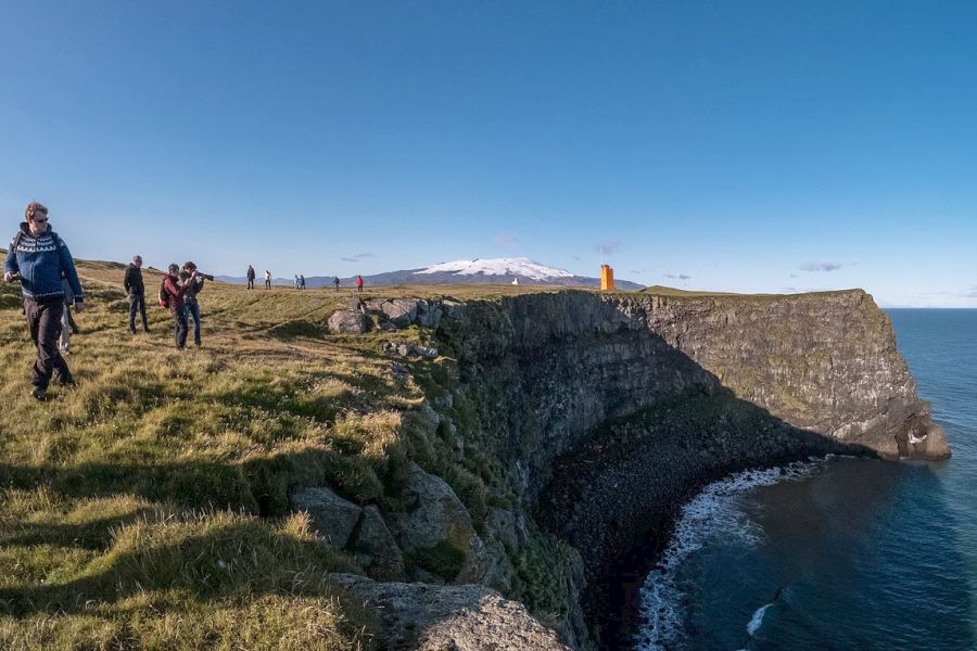 Ingolfshofdi Vogelkaap Excursie