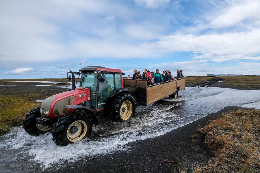 Ingolfshofdi Vogelkaap Excursie