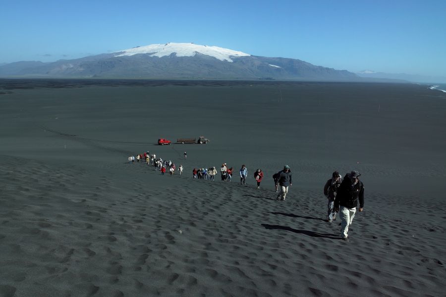Ingolfshofdi Vogelkaap Excursie