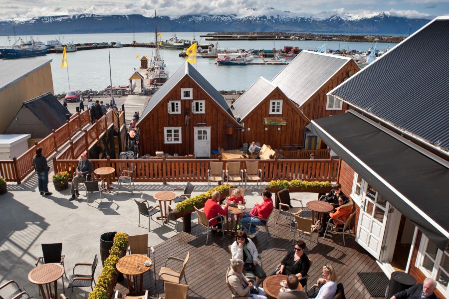Whale Watching Husavik walvissen