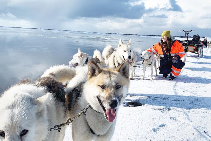 Vakantie Huskytocht Zuid IJsland in Diversen (IJsland, IJsland)