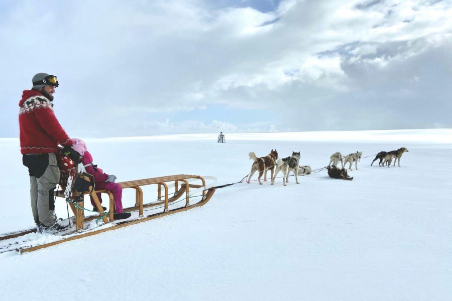 Huskytocht