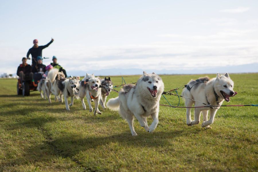Huskytocht