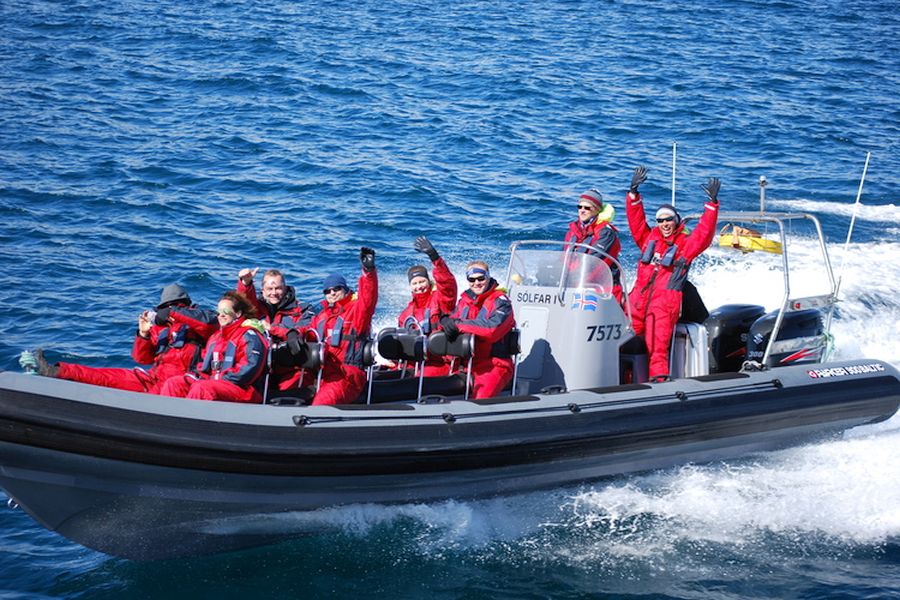Whale Watching vanuit Akureyri