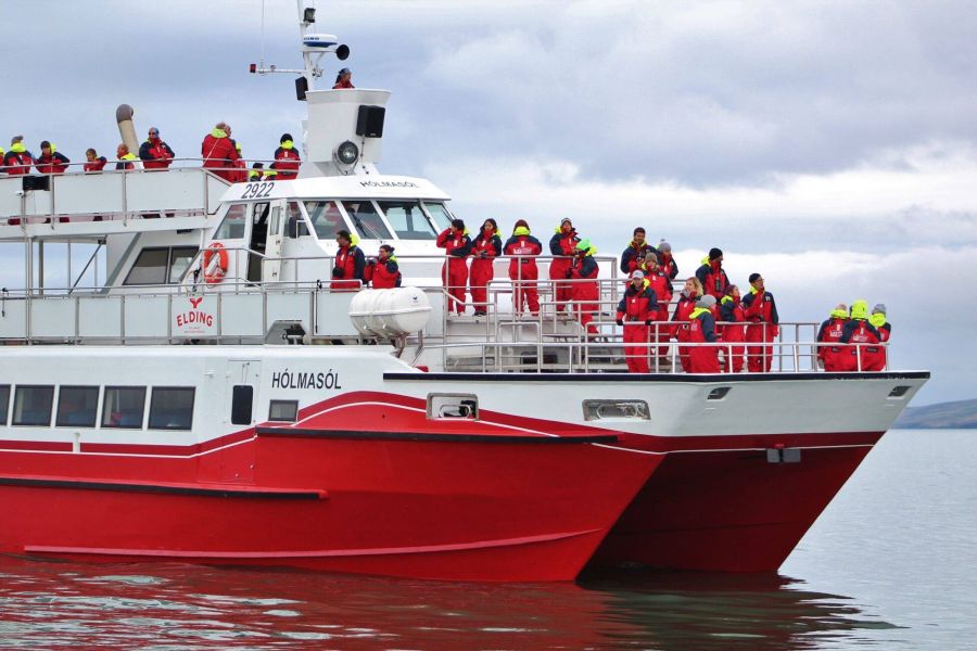 Whale Watching vanuit Akureyri
