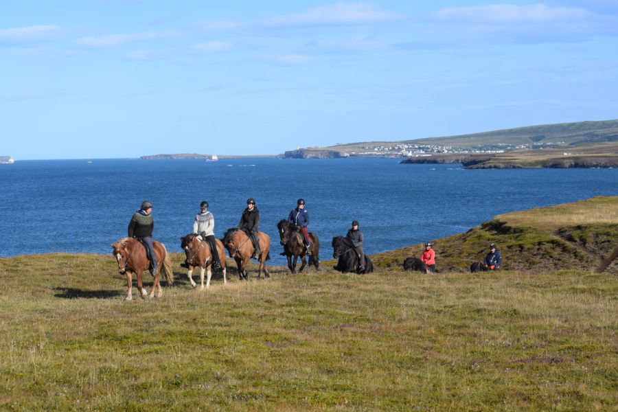 Vakantie Paardrijden vanuit Husavik in Diversen (IJsland, IJsland)