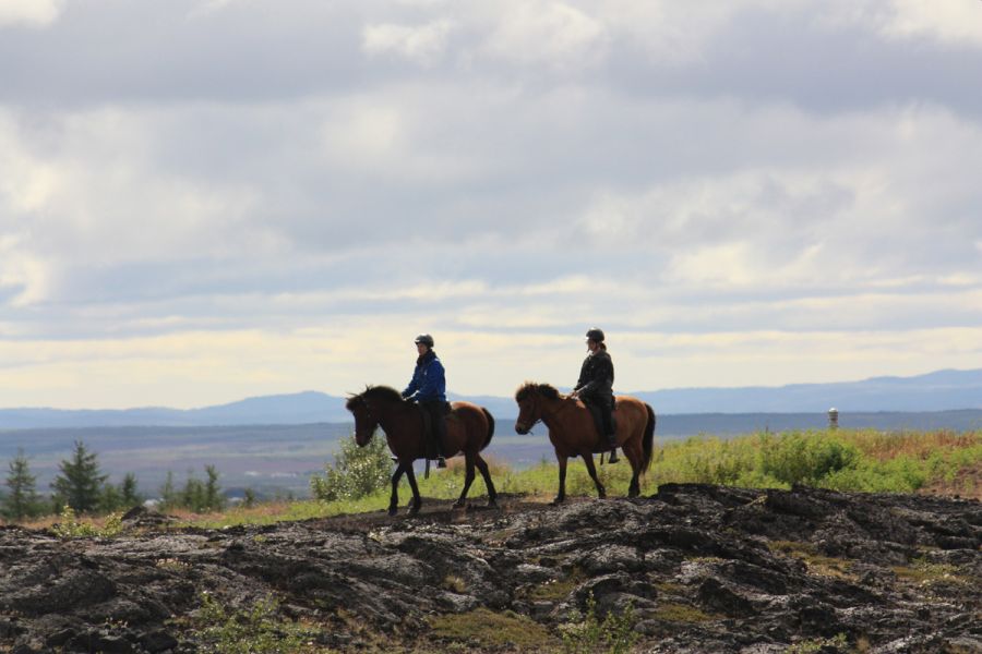 Paardrijden Husavik