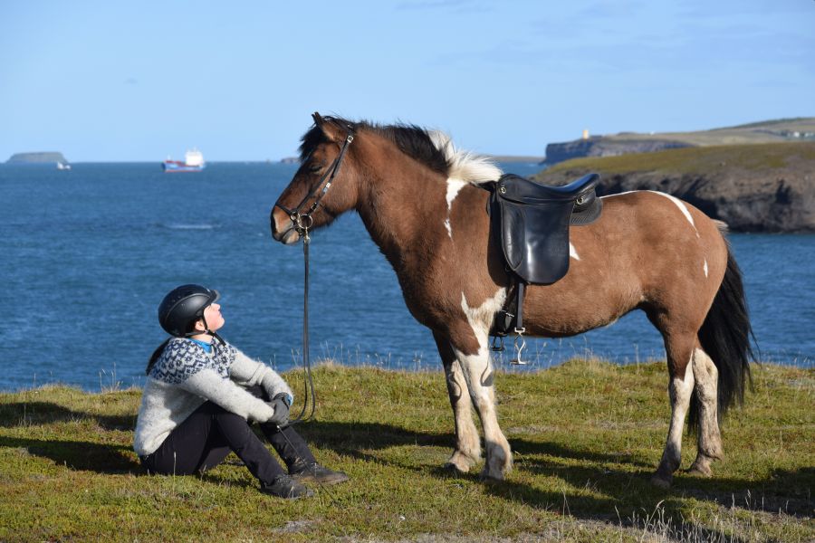 Paardrijden Husavik
