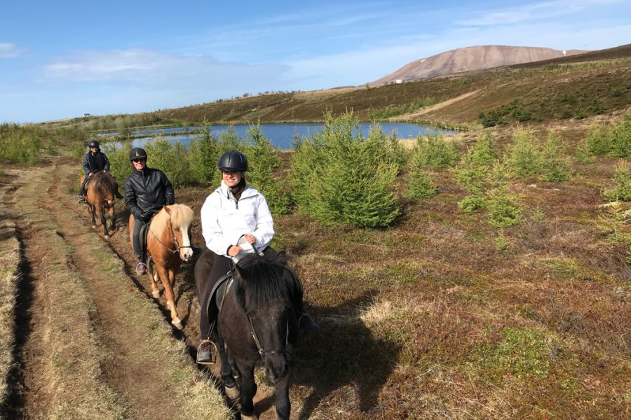 Paardrijden Husavik