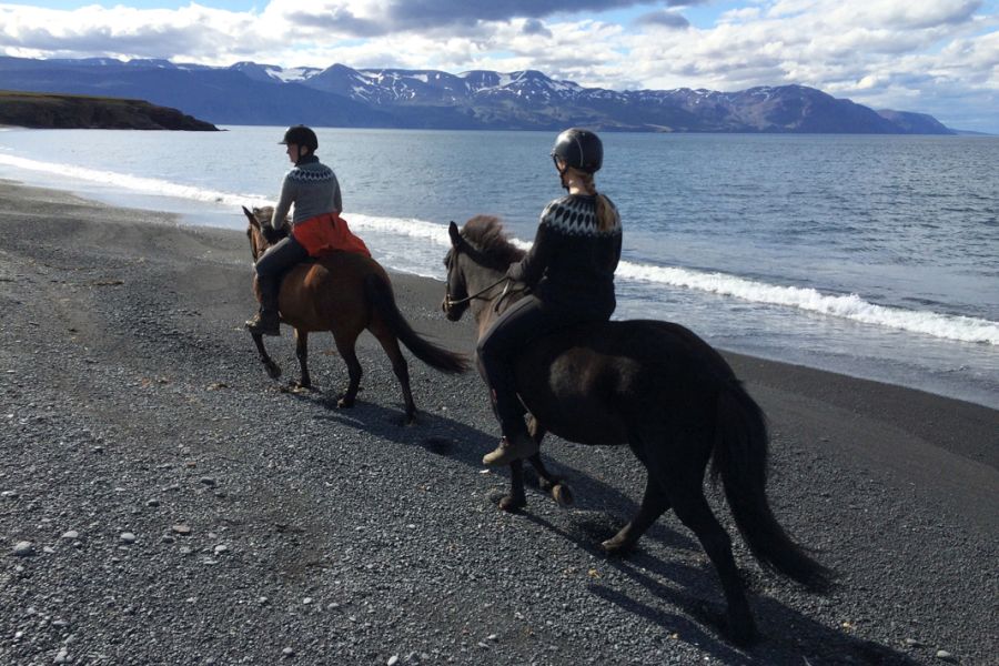 Paardrijden Husavik