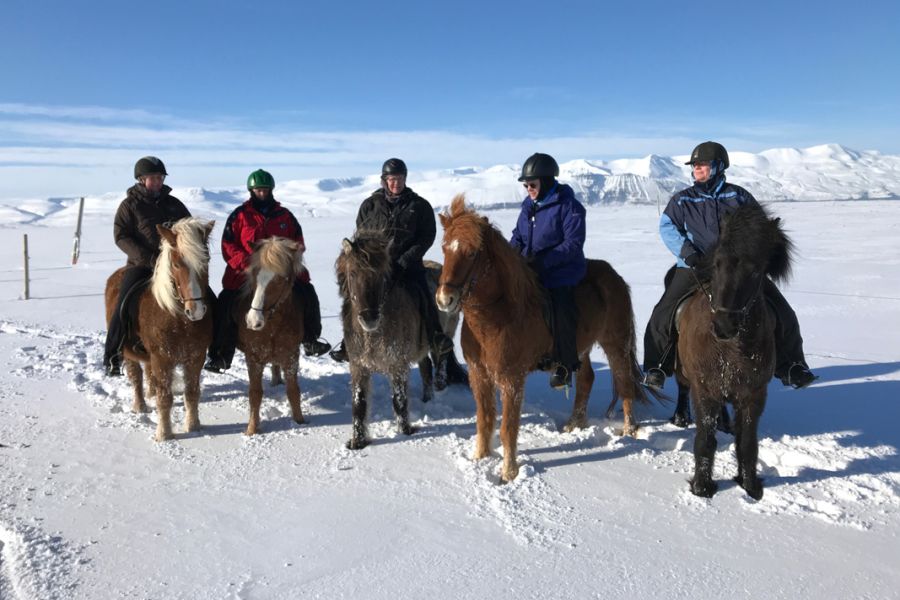 Paardrijden Husavik