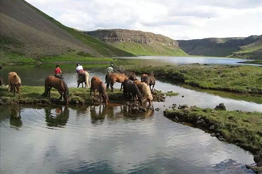 Paardrijden vanuit Akureyri