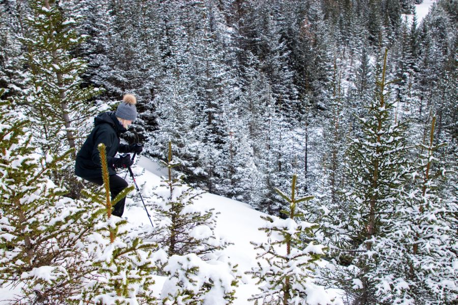 Sneeuwschoenwandeling vanuit Akureyri