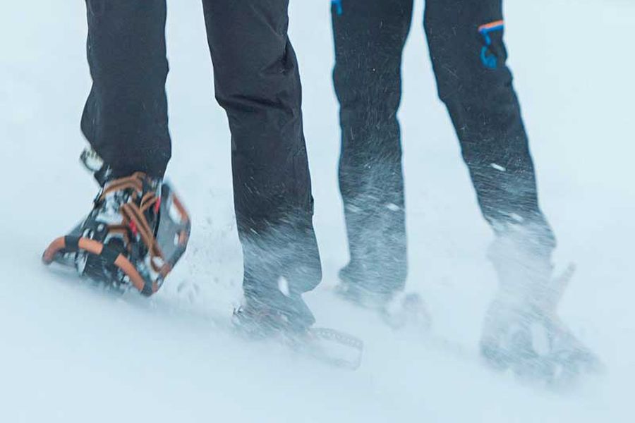 Sneeuwschoenwandeling vanuit Akureyri