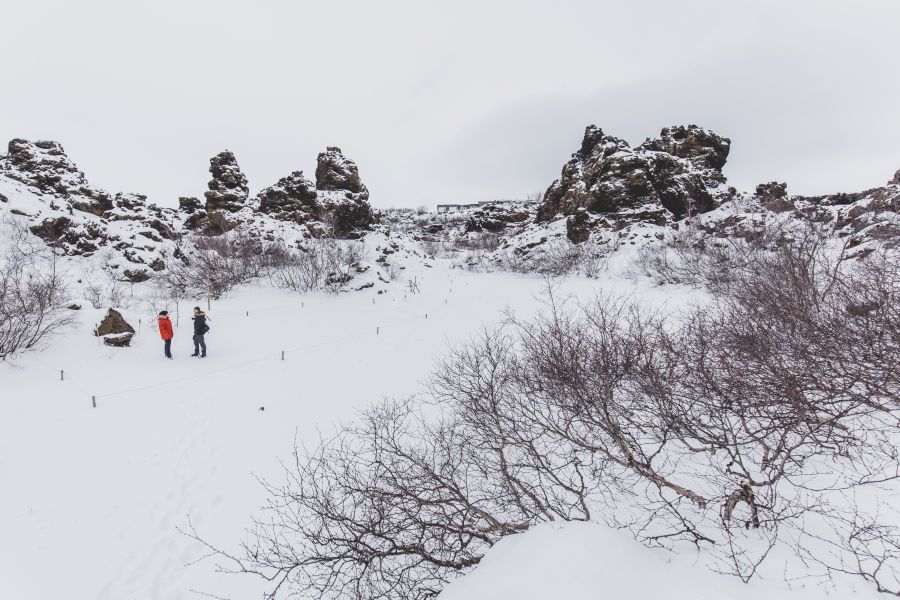 Myvatn Highlights & Hidden Gems excursie