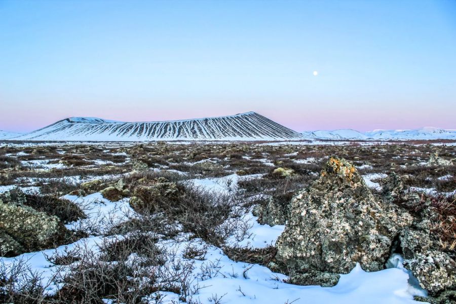 Myvatn Highlights & Hidden Gems excursie