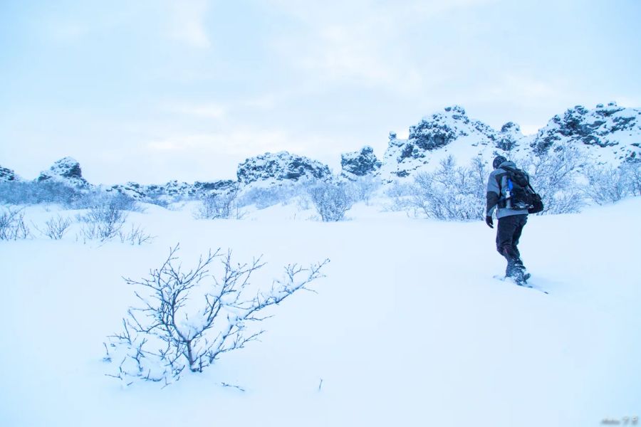 Sneeuwschoenwandeling vanuit Myvatn