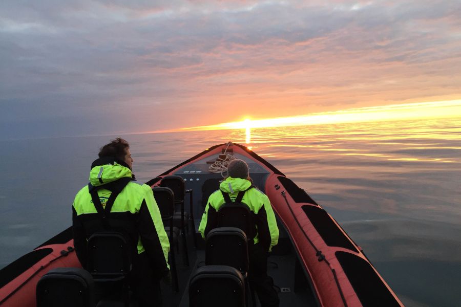 Whale Watchting Rib Boat Husavik
