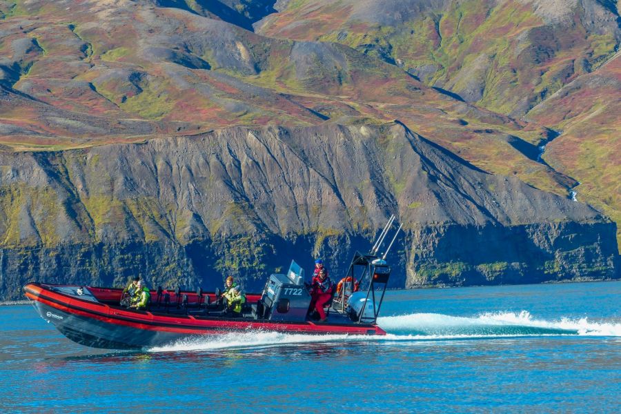 Whale Watchting Rib Boat Husavik