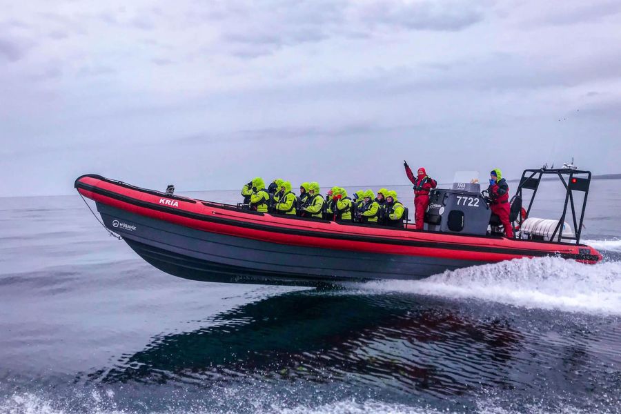 Whale Watchting Rib Boat Husavik