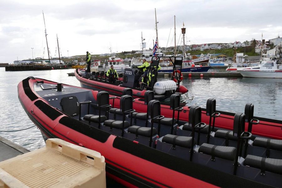 Whale Watchting Rib Boat Husavik
