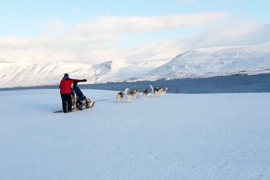 Huskytocht vanuit Myvatn