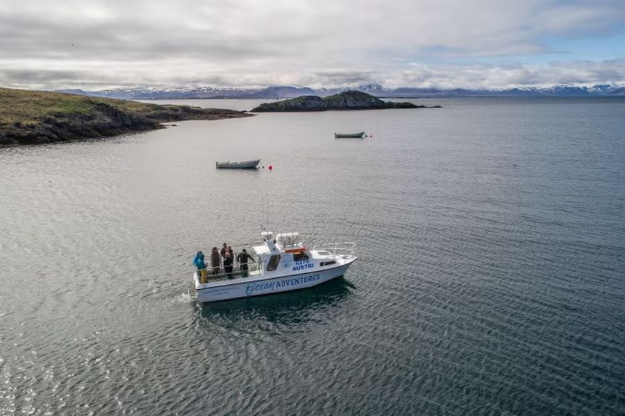Papegaaiduiker tour Stykkisholmur