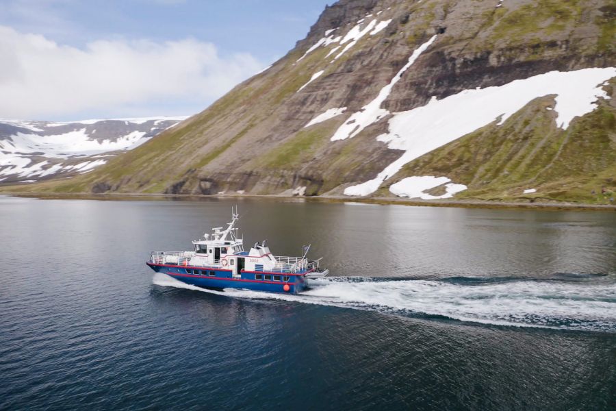 Whale Watching vanuit Isafjördur