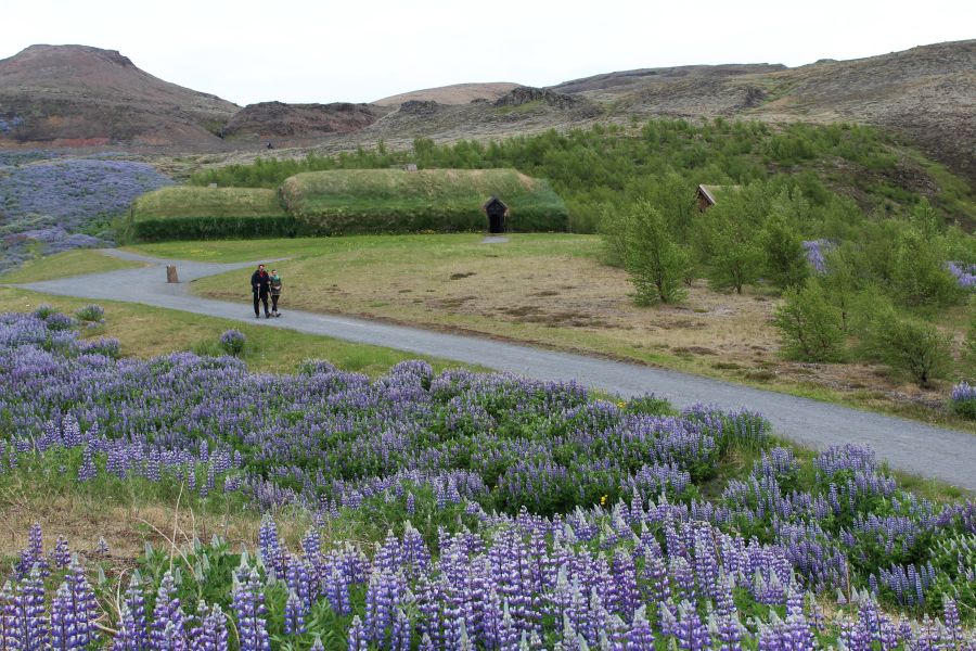 Thjorsardalur en de Haifoss waterval dagtour