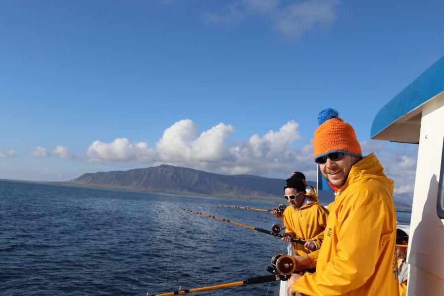 Zeevissen Faxafloi Baai