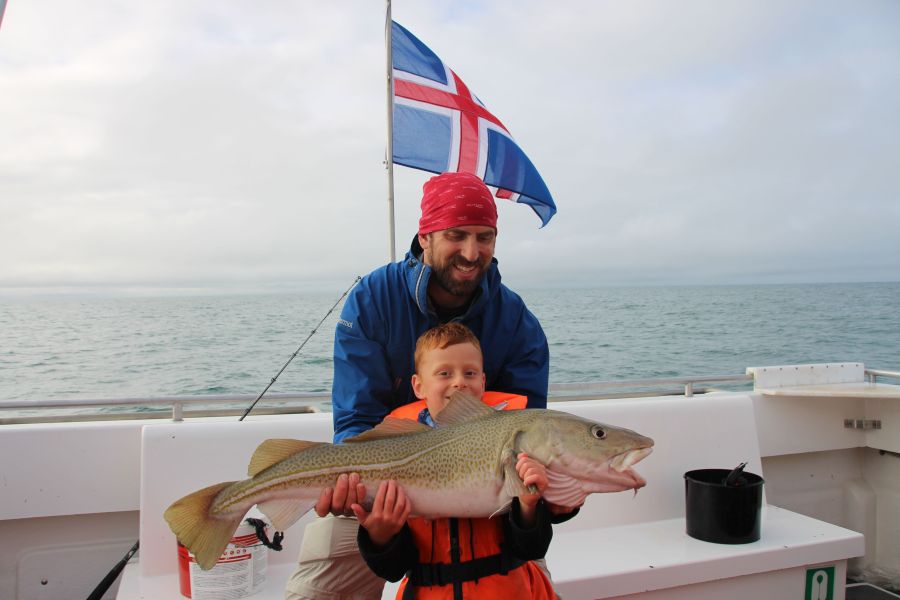 Vakantie Zeevissen in de Faxafloi baai in Diversen (IJsland, IJsland)