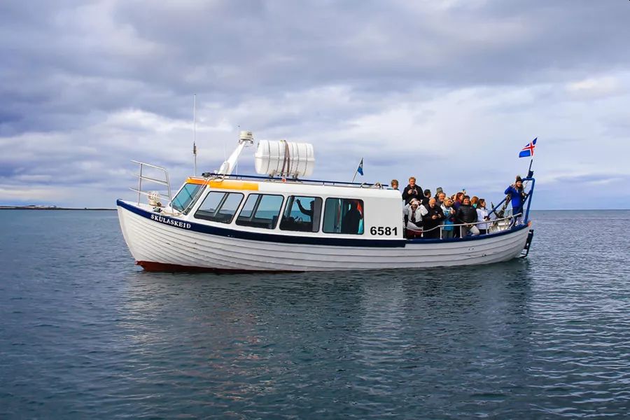 Puffin Express vanuit Reykjavik