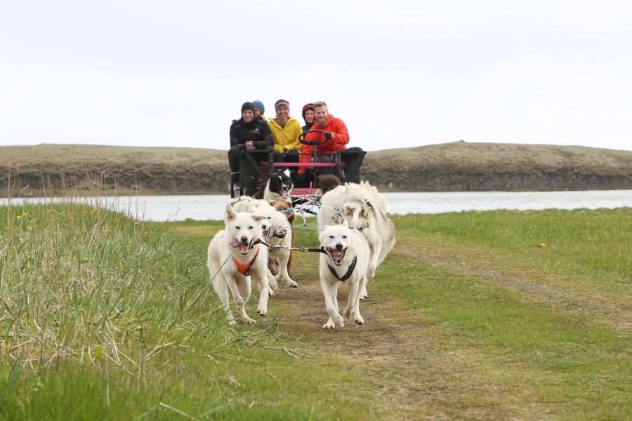 Huskytocht