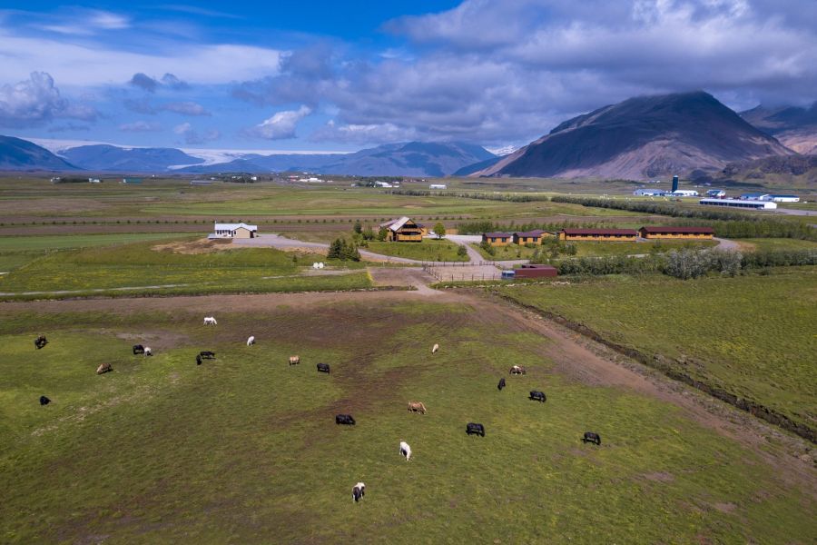 Arnanes Country Hotel, Höfn